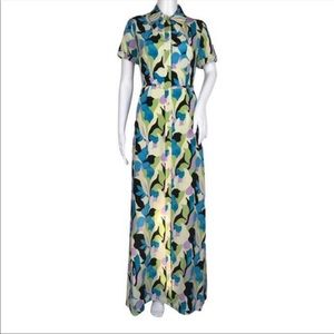 Diane Von Furstenberg Georgia Printed Silk Maxi dress
